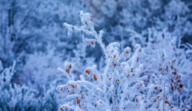 В Казахстане ожидаются сильные морозы