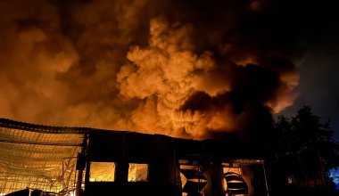 201 беспилотник за ночь: Россия атаковала Украину