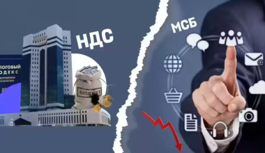 Как выбрать налоговый режим в Казахстане: уведомление нужно подать до 1 марта