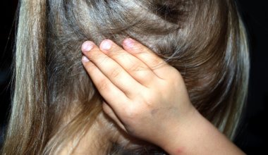 Житель Жамбылской области изнасиловал свою падчерицу