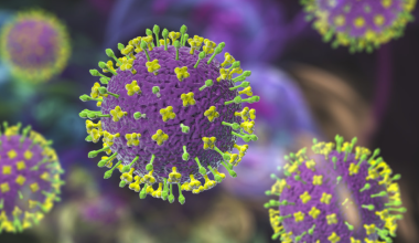 Смертность до 75%:: академик рассказал, чем опасен новый вирус