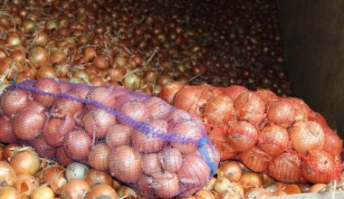 Десятки тонн казахстанского лука не доехали до России