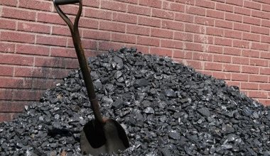 В четырех регионах Казахстана резко подорожал уголь