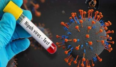 "Это не ковид": Минздрав обратился к гражданам Кыргызстана из-за вируса Нипах