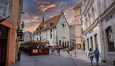 «Агрессия должна иметь цену»: Эстония ужесточила въезд для граждан РФ