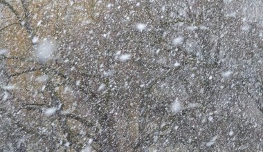 Где в Казахстане пойдёт снег 8 февраля