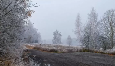 Почти по всему Казахстану ожидается непогода