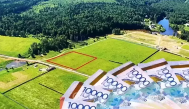 Пастбища на 2,6 млрд тенге вернули государству в Аксу