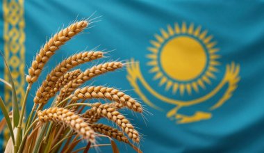 Пять месяцев ажиотажа: куда ушло 5,8 млн тонн казахстанского зерна?