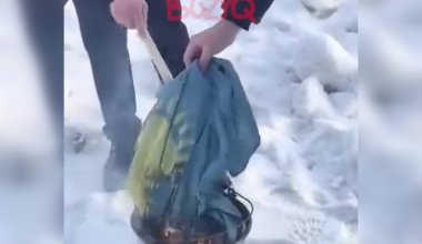 Педагоги сожгли флаг и разбили герб Казахстана: как оправдались чиновники