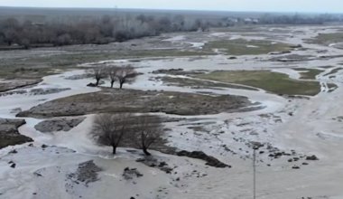 Река вышла из берегов: в Туркестанской области спасли 29 человек