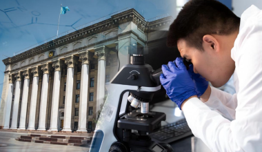 Наука без иллюзий: что на самом деле стоит за дискуссией вокруг Института Бектурова