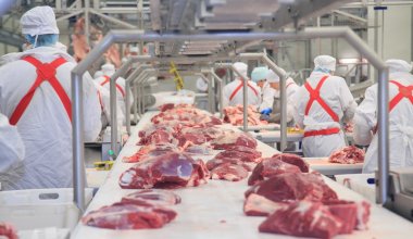 В Казахстане нет ни одного предприятия глубокой переработки мяса — эксперт