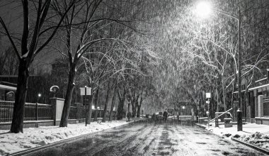 Дождь со снегом, до 27 градусов мороза: синоптики о погоде 14 февраля