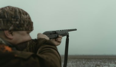 Тюремный срок грозит жителю Костанайской области за убийство сайгака