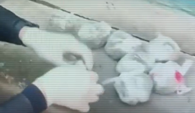 Изъяли больше 100 кг: канал сбыта наркотиков “накрыли” в Жамбылской области