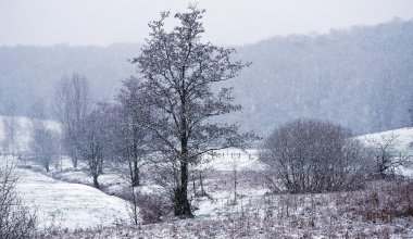 Гололед и морозы: где в Казахстане ухудшится погода 20 февраля