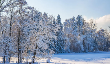 37-градусные морозы ударят по Казахстану