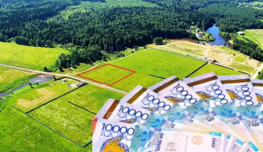 Тысячи га сельхозземель вернули государству в Туркестанской области