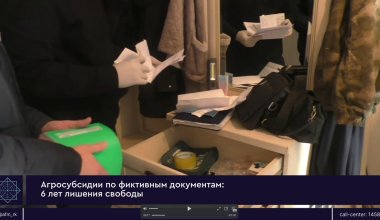 Миллионные субсидии на молоко разворовали в Акмолинской области