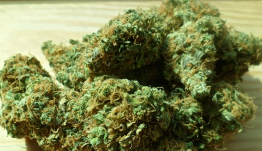 У сотрудника погранслужбы КНБ нашли марихуану в сапоге