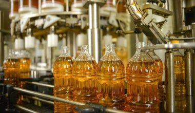 Кто «подставил» казахстанское рапсовое масло – в Минсельхозе говорят о реэкспорте