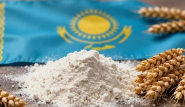 Казахстан планирует довести долю переработки продукции до 70%