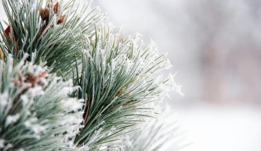 Морозы до -40 градусов: синоптики предупредили казахстанцев