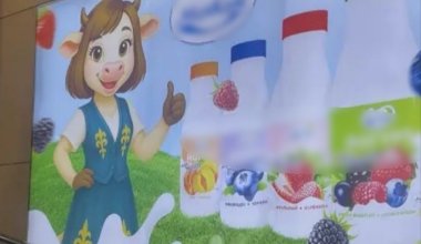 Корова в национальной одежде казахов: скандал с рекламой разгорелся в Павлодаре