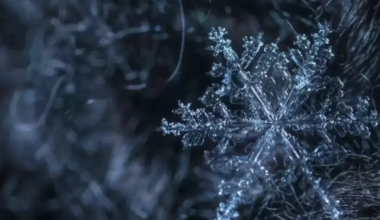 В каких регионах Казахстана объявили штормовое предупреждение