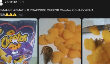 В Алматы в детских снеках нашли мышь