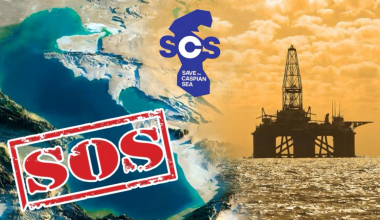 Море проблем? Какие шаги делает Save the Caspian Sea, чтобы спасти Каспий