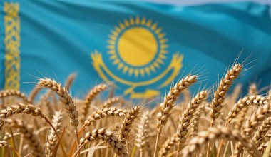 Ожидаем рекорд? Минсельхоз США оценил урожай пшеницы в Казахстане