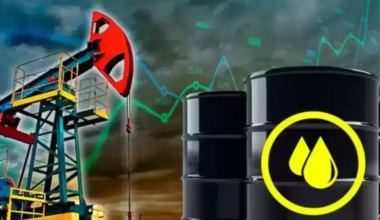 США временно вывели из-под санкций продажу российской нефти и нефтепродуктов