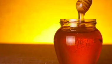 Мед из Казахстана стал хитом выставки в Японии