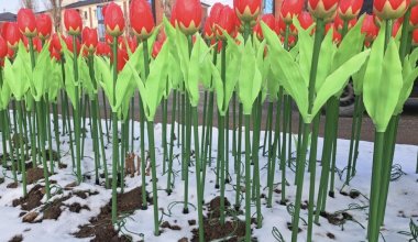Пластиковый цветник: на улицах Тараза появились искусственные тюльпаны