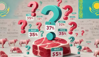 Казахстан планирует упростить экспорт говядины