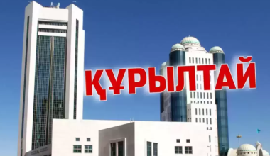 Парламентские выборы в Казахстане проведут до осени