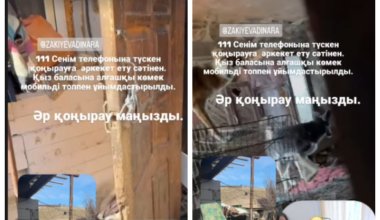 Девочка жила с 70 собаками и подвергалась насилию на западе Казахстана