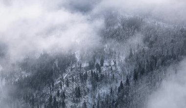 Синоптики предупредили о тумане, гололеде и бурях в регионах Казахстана