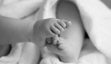 Пакет с телом младенца нашли на обочине дороги в Косшы