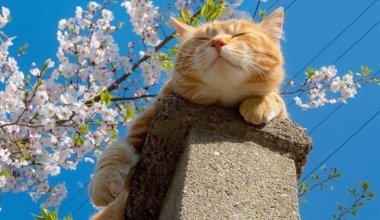 В Казахстане резко потеплеет, но погода преподнесёт сюрпризы