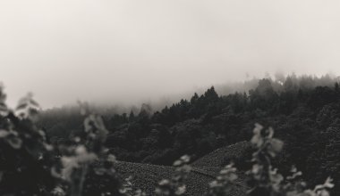 Пыльные бури, туман и сильный ветер ожидаются в Казахстане