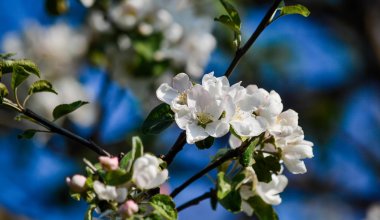 30-градусная жара ждет казахстанцев уже в ближайшие дни