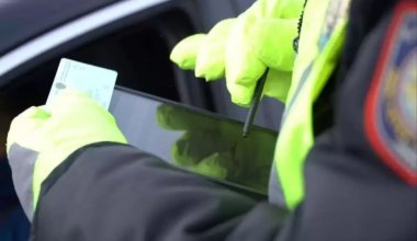 В Казахстане предложили ввести "тест на идиота" для злостных нарушителей ПДД