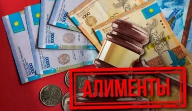 Казахстанским алиментщикам не получится убежать от детей за границу – сенат ратифицировал документы