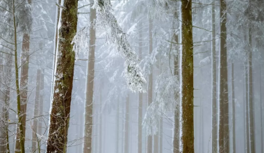 В каких регионах Казахстана объявили штормовое предупреждение