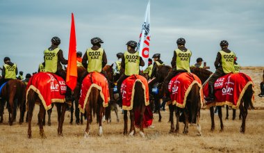 «Патрон» ломает стереотипы: костанайская лошадь впервые стала призёром Кубка РК