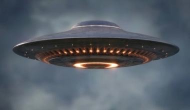 НЛО упал в лесу на востоке Польши