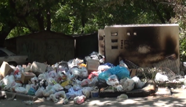 В Актобе начали выбрасывать трупы животных на мусорки